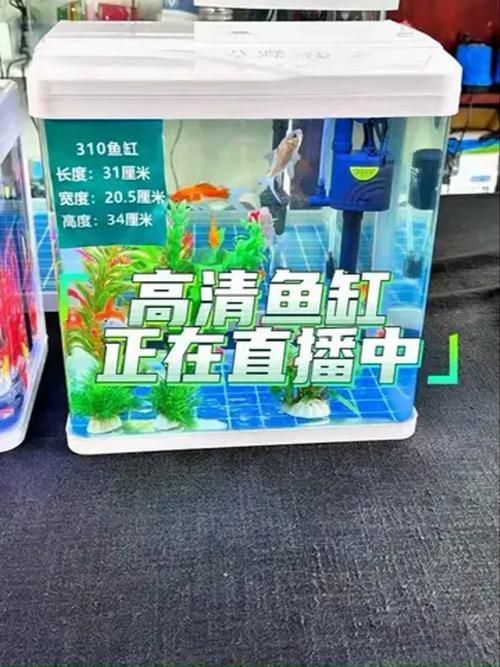 廊坊魚缸批發市場