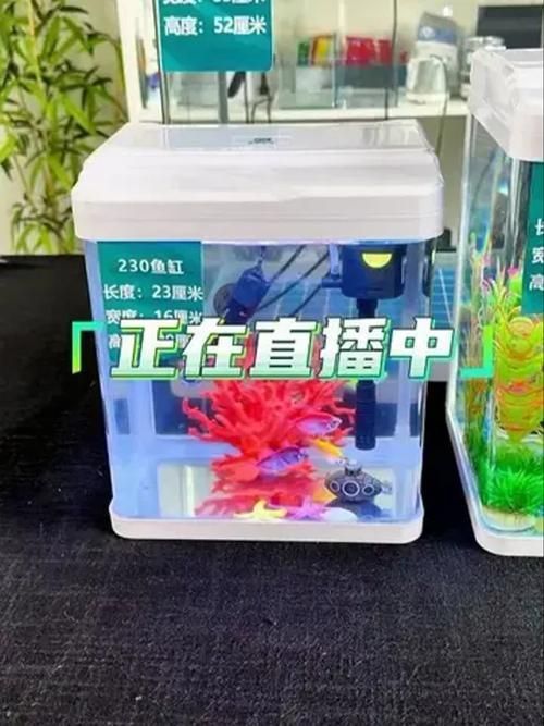 廊坊魚缸批發市場
