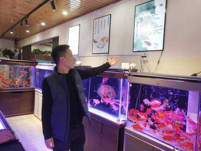 廊坊魚缸批發市場