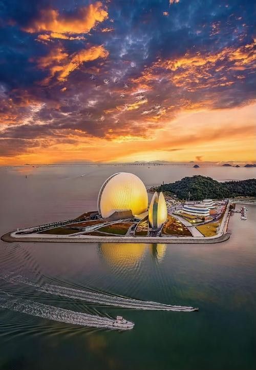 龍頭魚珠海 龍頭魚珠海 觀賞魚百科 第14張
