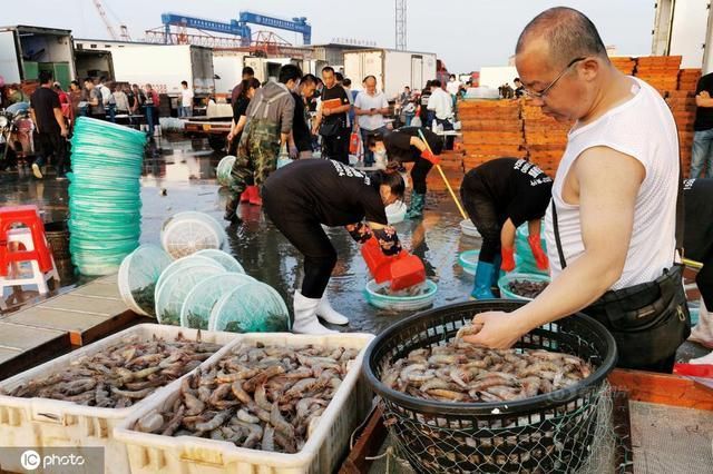 大連觀賞魚批發市場