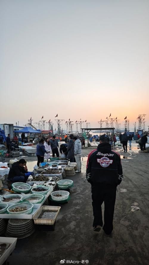 大連觀賞魚批發市場