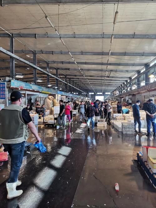 大連觀賞魚批發市場
