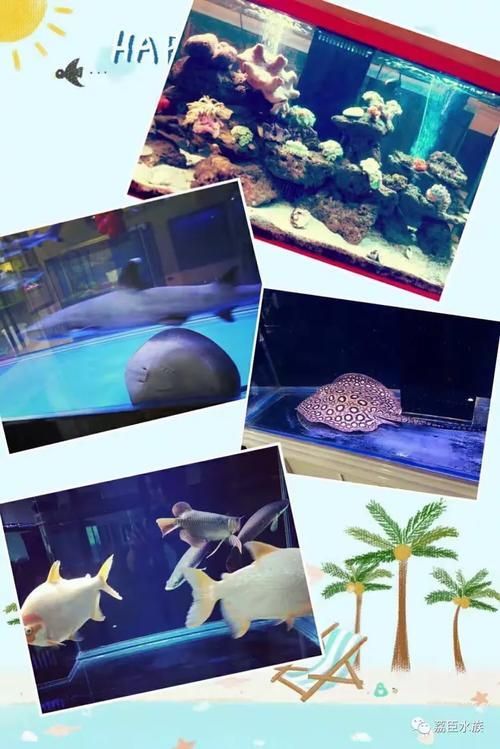 畢節水族批發市場