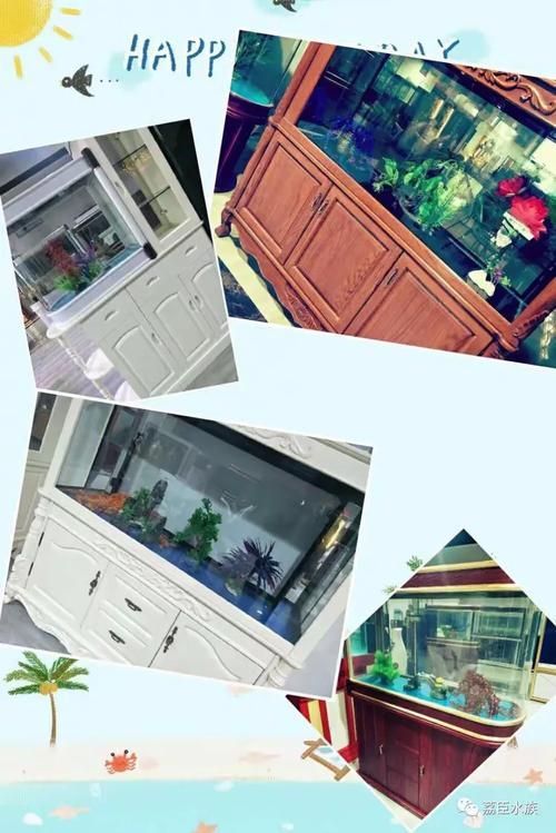 畢節水族批發市場