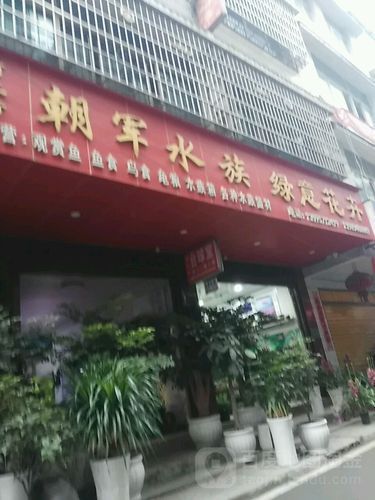 畢節水族批發市場