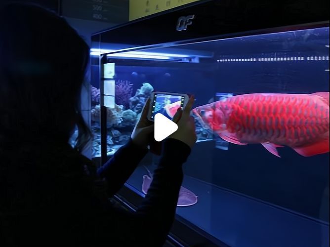 畢節水族批發市場