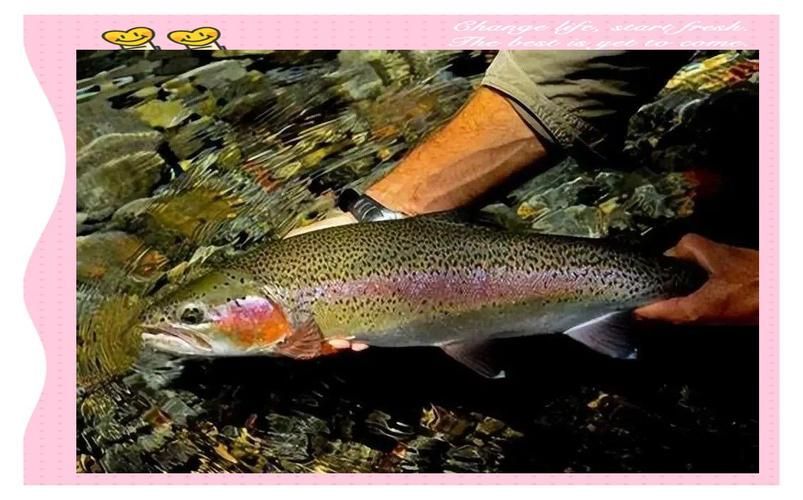 喀什地區(qū)觀賞魚批發(fā)市場(chǎng)