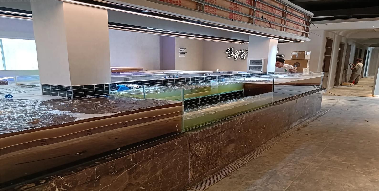 益陽水族批發(fā)市場