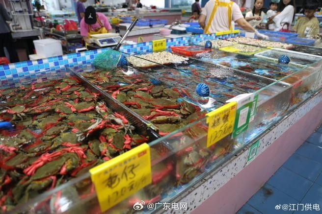 江門龍魚批發市場
