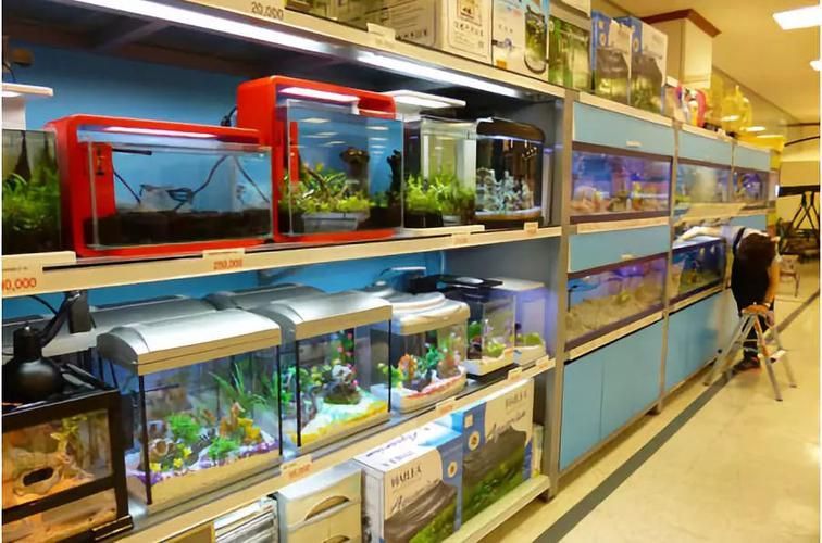許昌水族批發市場