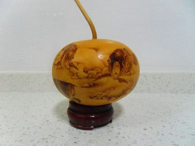 紅龍魚(yú)的發(fā)色過(guò)程圖片對(duì)比（紅龍魚(yú)的發(fā)色過(guò)程圖片對(duì)比圖）