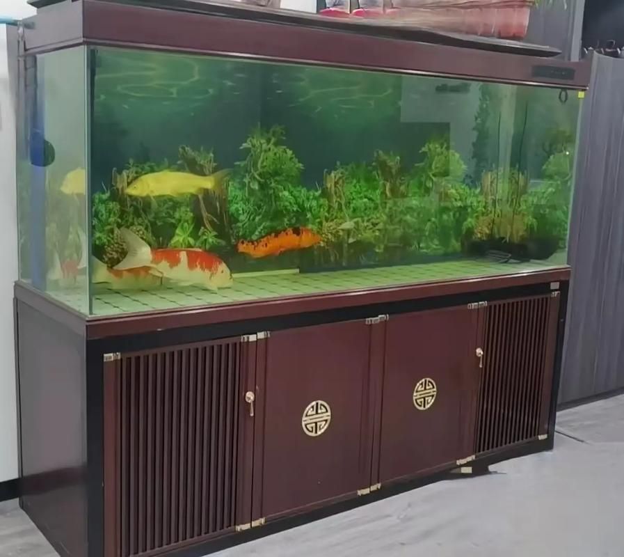 佛山魚缸批發市場