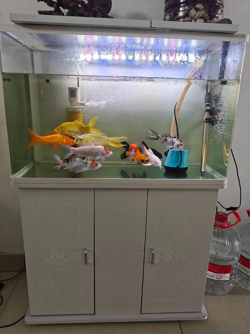 佛山魚缸批發市場