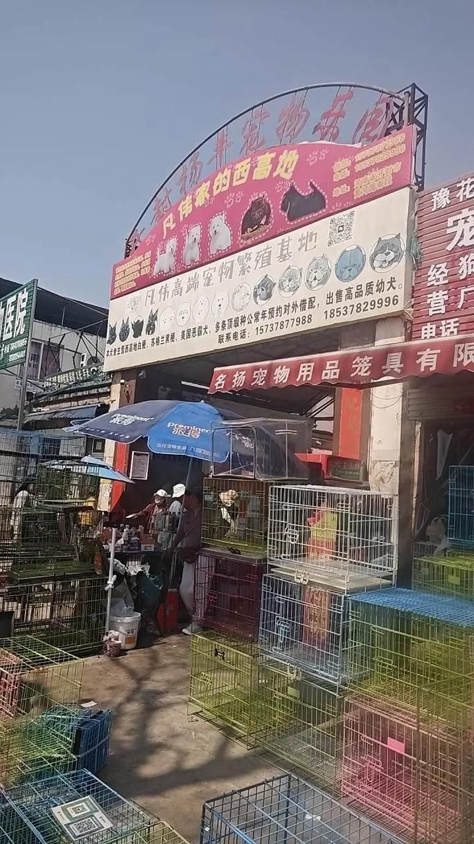 開封觀賞魚批發市場