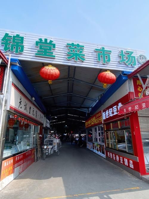 衡水龍魚批發(fā)市場