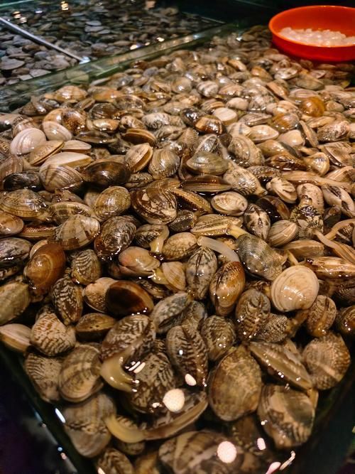 大連水族批發市場