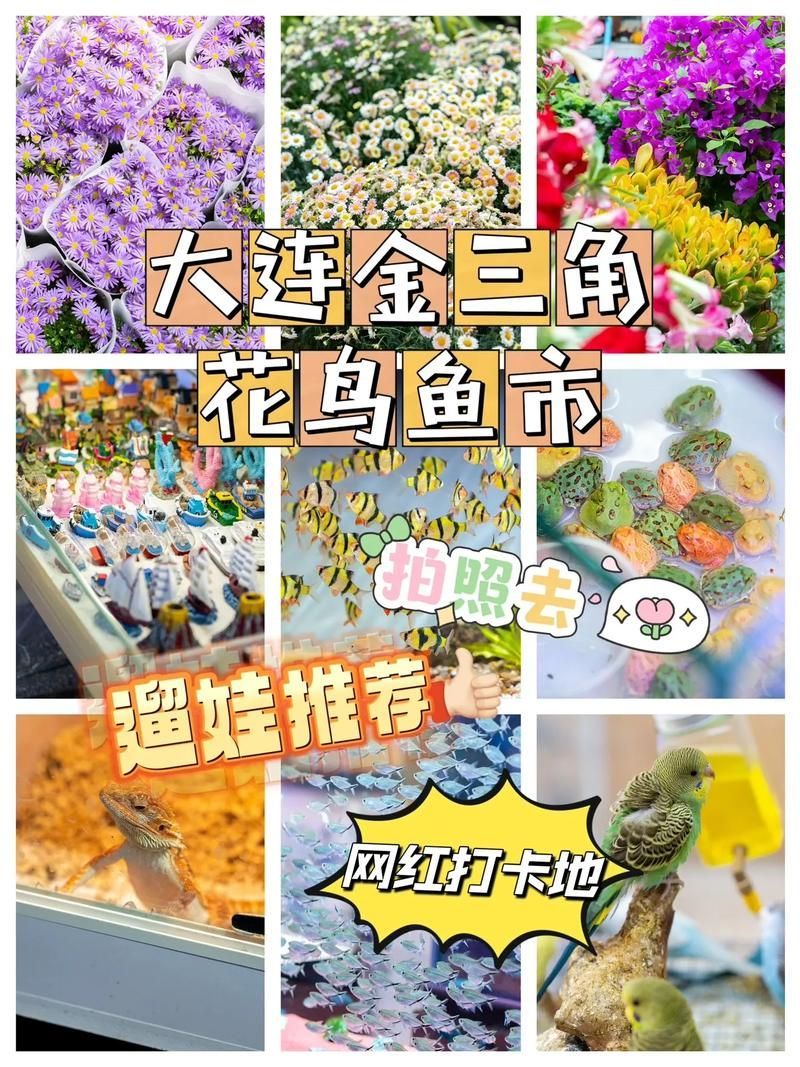大連水族批發市場