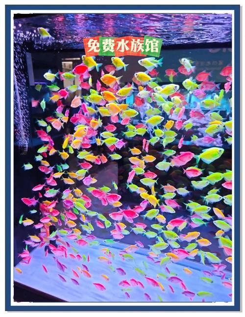 大連水族批發市場