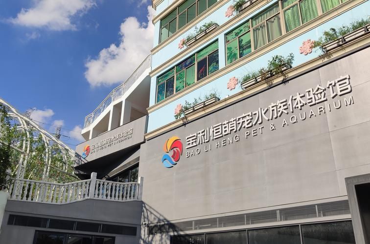 深圳水族批發(fā)市場(chǎng)祥龍魚場(chǎng)（深圳水族批發(fā)市場(chǎng)-祥龍魚場(chǎng)）