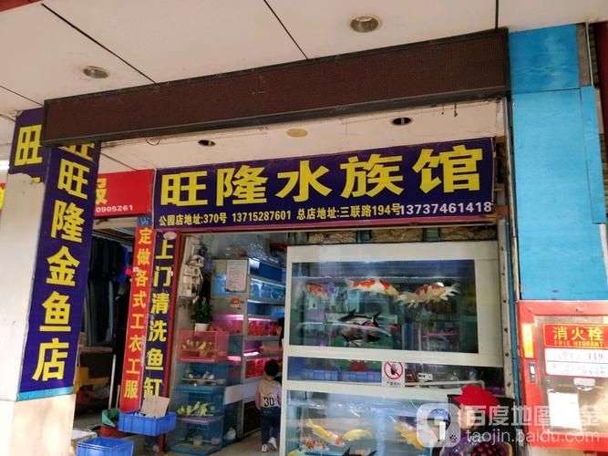 深圳水族批發(fā)市場(chǎng)祥龍魚場(chǎng)（深圳水族批發(fā)市場(chǎng)-祥龍魚場(chǎng)）