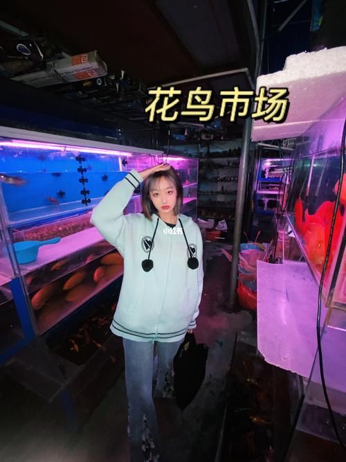 觀賞魚批發市場是一個集觀賞魚養殖、銷售和文化交流于一體的綜合性市場（廣東湛江觀賞魚批發市場）
