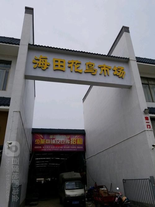 觀賞魚批發市場是一個集觀賞魚養殖、銷售和文化交流于一體的綜合性市場（廣東湛江觀賞魚批發市場）