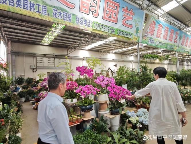 觀賞魚批發市場是一個集觀賞魚養殖、銷售和文化交流于一體的綜合性市場（廣東湛江觀賞魚批發市場）