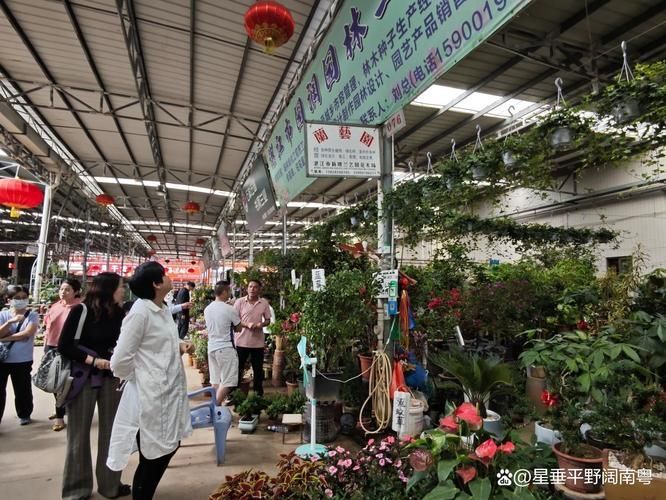 觀賞魚批發市場是一個集觀賞魚養殖、銷售和文化交流于一體的綜合性市場（廣東湛江觀賞魚批發市場）