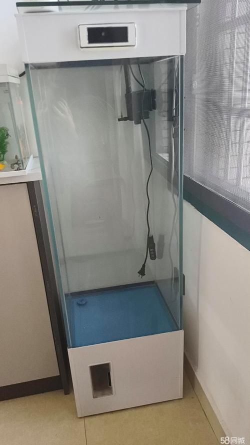 饒觀賞魚批發市場是一個專門銷售各種觀賞魚的場所（上饒觀賞魚批發市場怎么樣？）