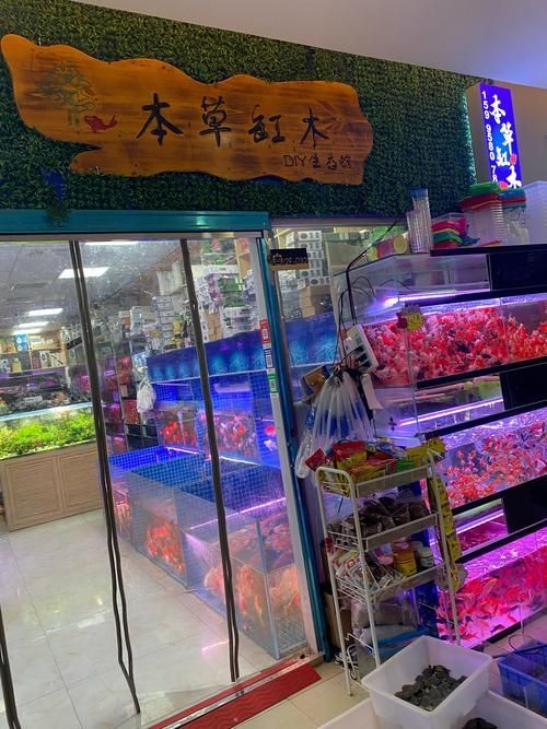 達州水族批發市場前景如何？（四川達州水族批發市場）
