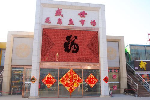 祥龍魚場在臨汾有批發(fā)點嗎？（臨汾觀賞魚批發(fā)市場有哪些特點？）
