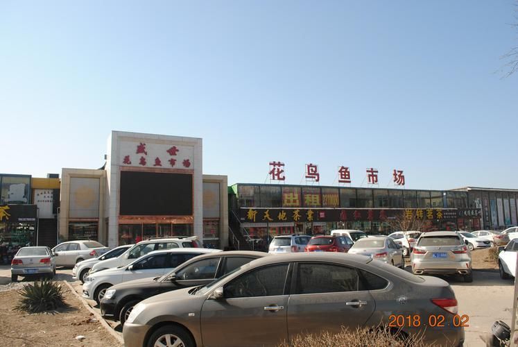 祥龍魚場在臨汾有批發(fā)點嗎？（臨汾觀賞魚批發(fā)市場有哪些特點？）