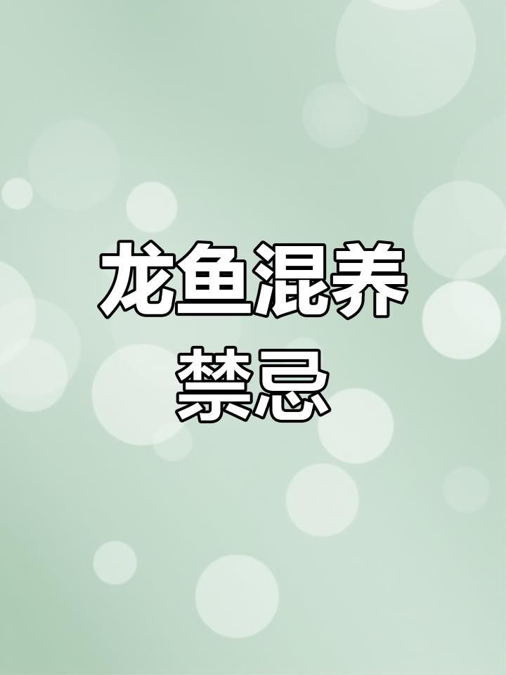 劍川龍魚混養(yǎng)時(shí)需要注意什么？（養(yǎng)殖劍川龍魚時(shí)，劍川龍魚忌諱與其他魚類混養(yǎng)，龍魚怎么養(yǎng)殖）