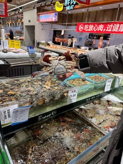 南京水族批發市場是華東地區重要的水產品集散地之一祥龍魚場（南京水族批發市場怎么樣）