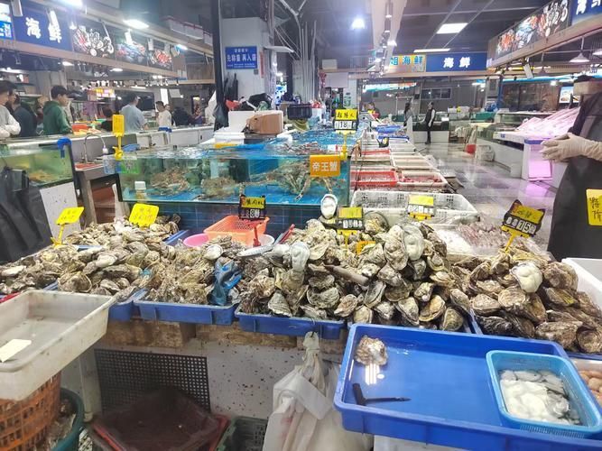 南京水族批發市場是華東地區重要的水產品集散地之一祥龍魚場（南京水族批發市場怎么樣）