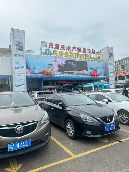 長(zhǎng)沙龍魚批發(fā)市場(chǎng)是什么？（長(zhǎng)沙龍魚批發(fā)市場(chǎng)-祥龍魚場(chǎng)）