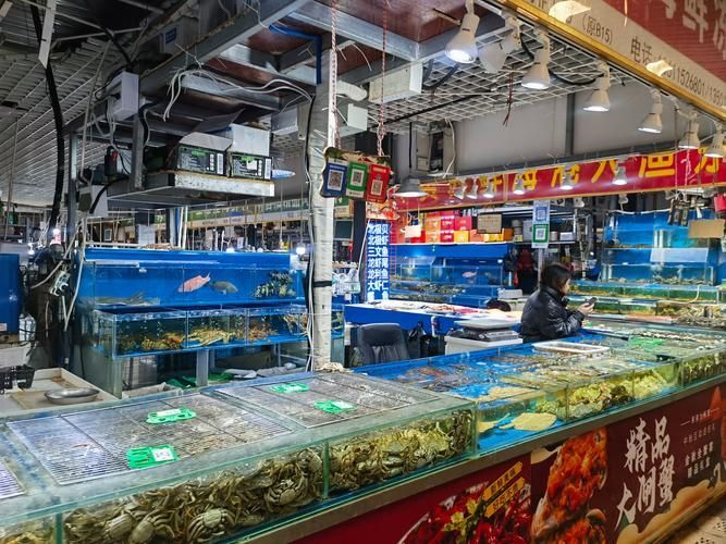 長(zhǎng)沙龍魚批發(fā)市場(chǎng)是什么？（長(zhǎng)沙龍魚批發(fā)市場(chǎng)-祥龍魚場(chǎng)）