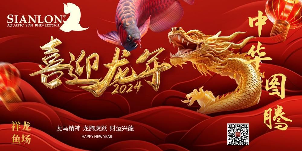 長(zhǎng)沙龍魚批發(fā)市場(chǎng)是什么？（長(zhǎng)沙龍魚批發(fā)市場(chǎng)-祥龍魚場(chǎng)）