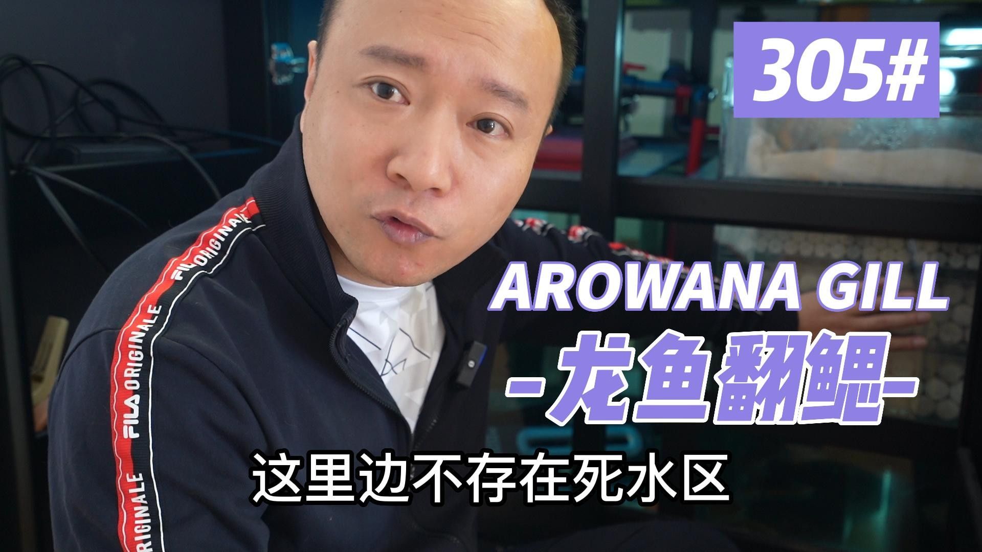 龍魚腮蓋鼓起的原因及解決方法及解決方法及解決方法（龍魚翻腮原因及解決方法，手術技巧全揭秘）