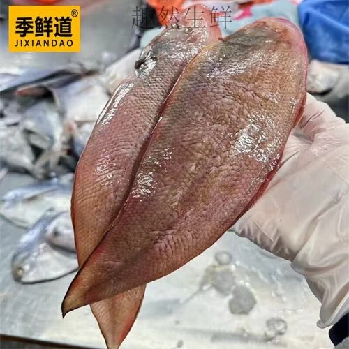 正宗龍利魚的圖片及價格（正宗龍利魚圖片及價格信息：正宗龍利魚圖片及價格）