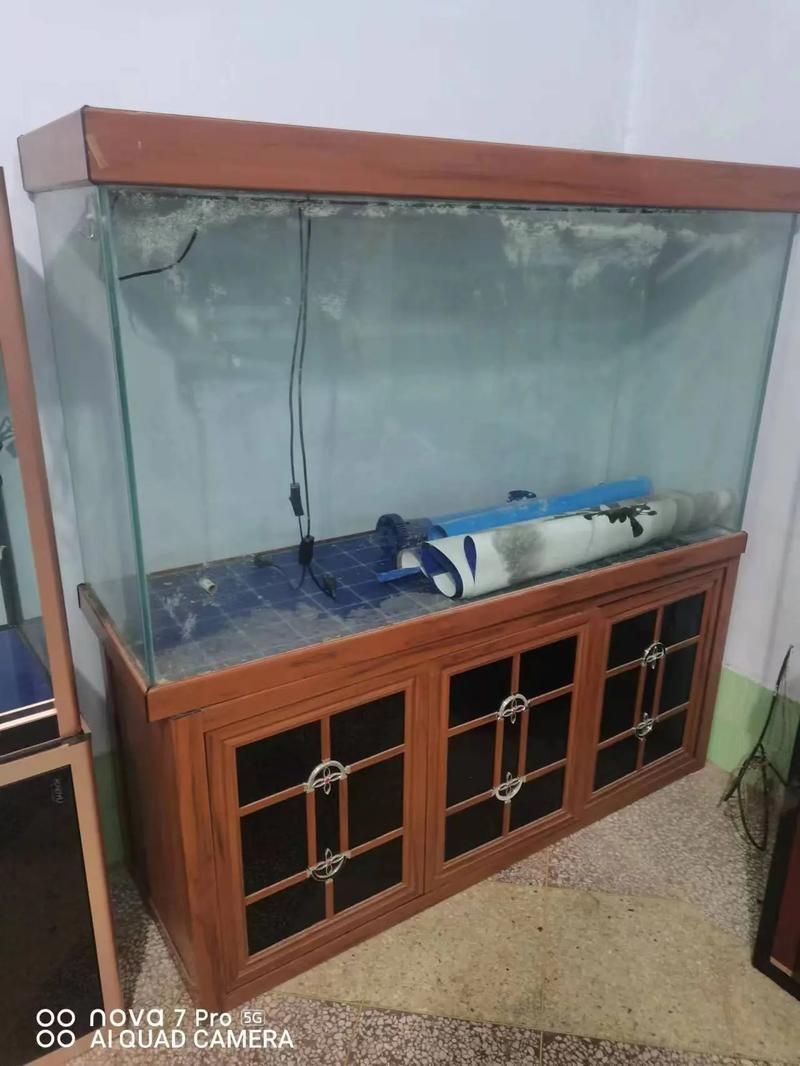 吉安魚缸批發(fā)市場的未來發(fā)展趨勢如何？（吉安魚缸批發(fā)市場怎么樣？）