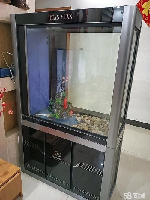 吉安魚缸批發(fā)市場的未來發(fā)展趨勢如何？（吉安魚缸批發(fā)市場怎么樣？）