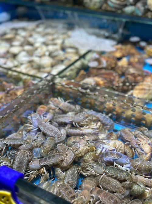 觀賞魚批發市場是一個專門銷售各種觀賞魚的場所（如何進入武漢觀賞魚批發市場？）