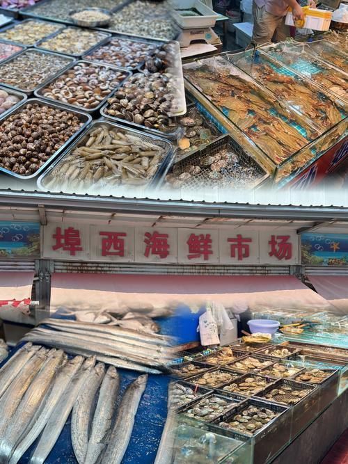 觀賞魚批發市場是一個專門銷售各種觀賞魚的場所（如何進入武漢觀賞魚批發市場？）