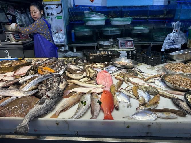 觀賞魚批發市場是一個專門銷售各種觀賞魚的場所（如何進入武漢觀賞魚批發市場？）