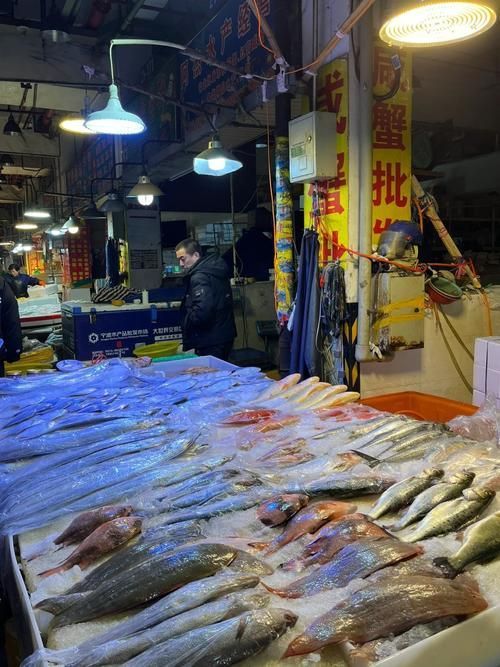 浙江寧波水族批發市場，寧波水族批發市場和祥龍魚場在中國有哪些主要商戶