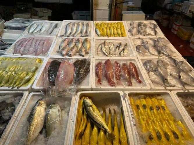 浙江寧波水族批發市場，寧波水族批發市場和祥龍魚場在中國有哪些主要商戶