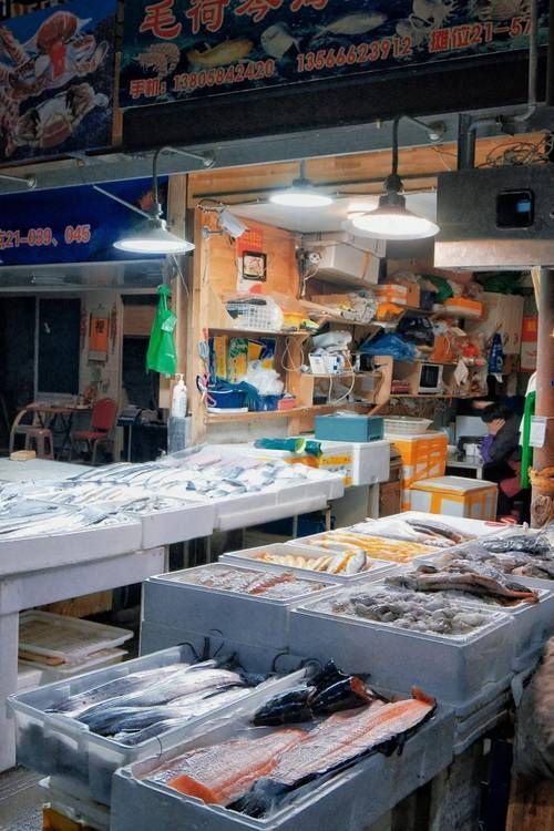 浙江寧波水族批發市場，寧波水族批發市場和祥龍魚場在中國有哪些主要商戶