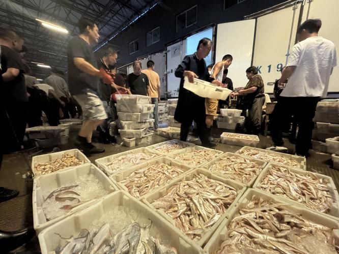 浙江寧波水族批發市場，寧波水族批發市場和祥龍魚場在中國有哪些主要商戶